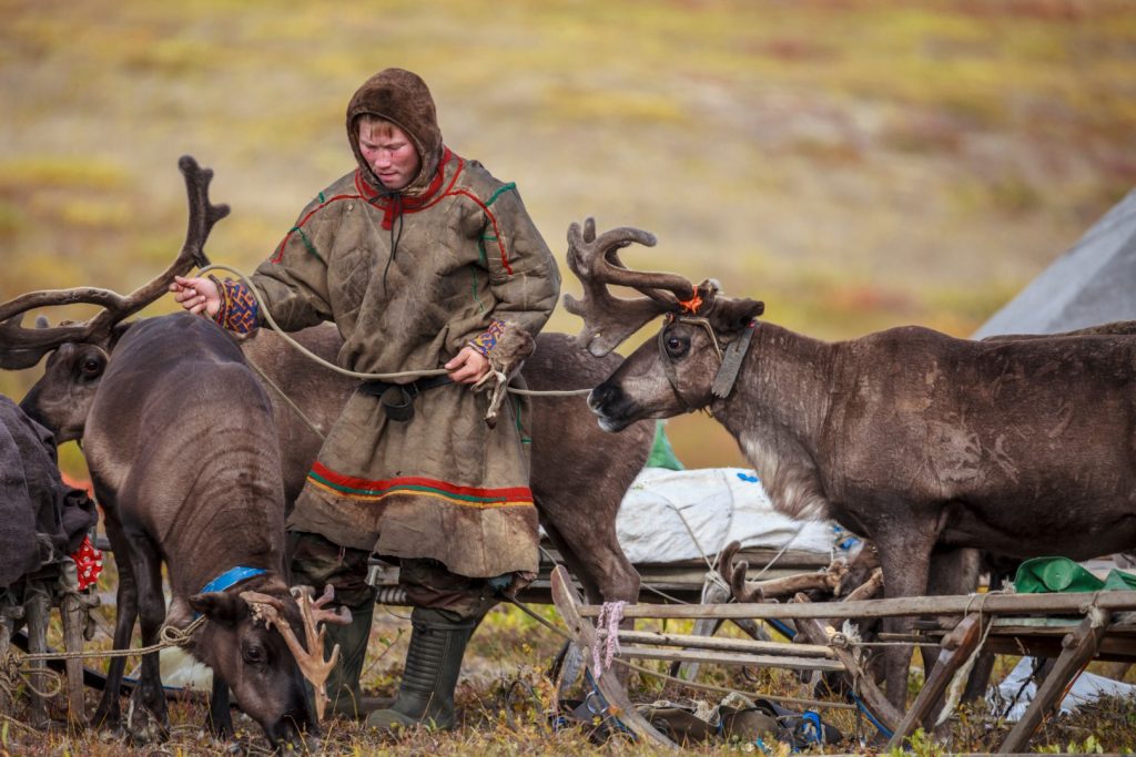 tundra, open area, assistant reindeer breeder, the men in national clothes tundra, open area, assistant reindeer breeder, the men in national clothes