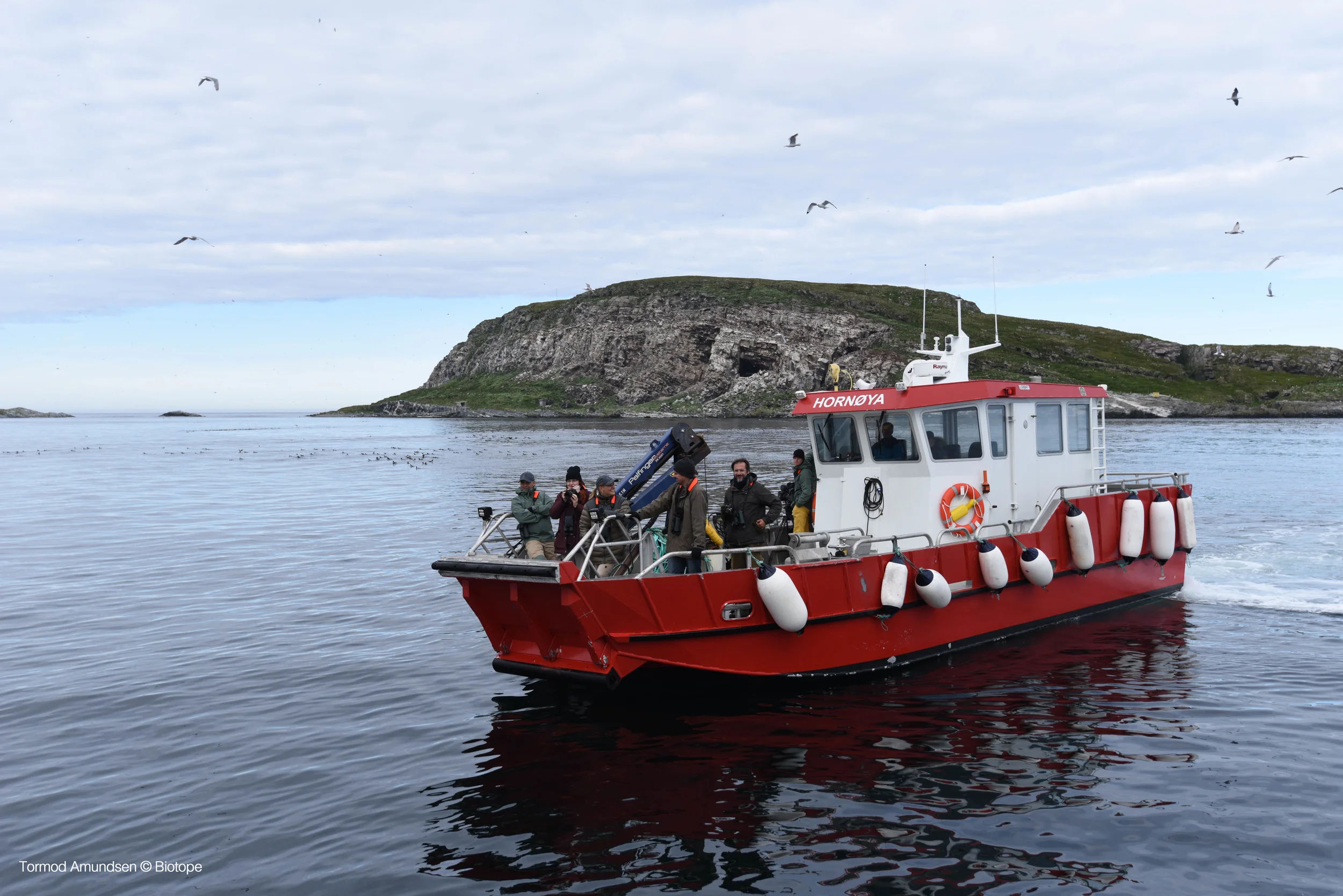 Short Expeditions turbaat